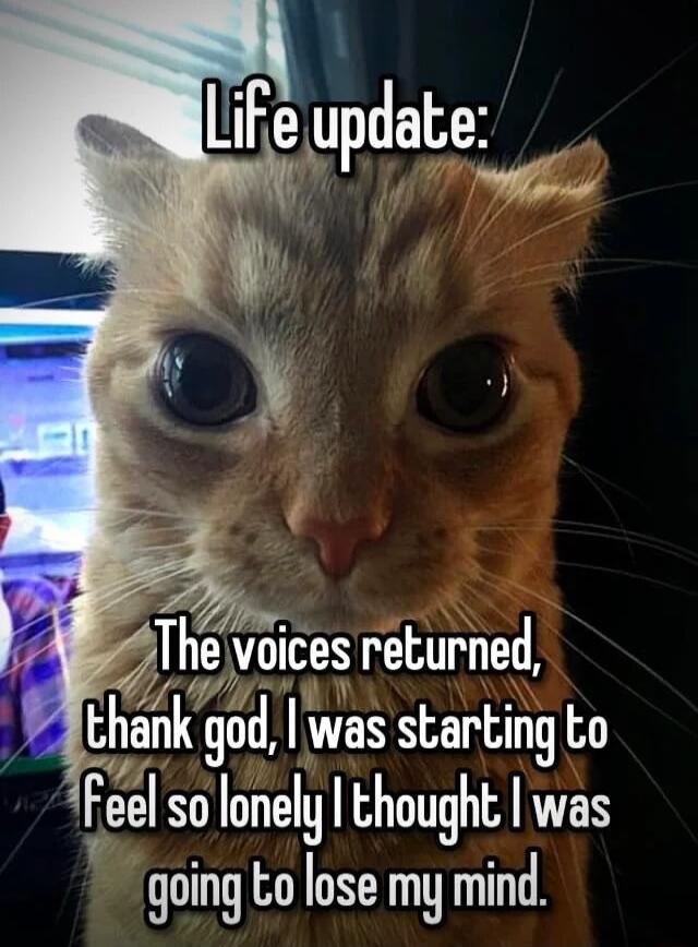 The voices returned Ihank qod was starting to Feel S R T ARES going to lose my mind