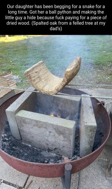 Our daughter has been begging for a snake for a long time. Got her a ball python and making the little guy a hide because fuck paying for a piece of dried wood. (Spalted oak from a felled tree at my dad's)