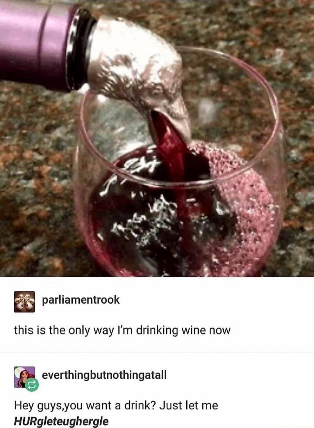 parliamentrook this is the only way Im drinking wine now everthingbutnothingatall Hey guysyou want a drink Just let me