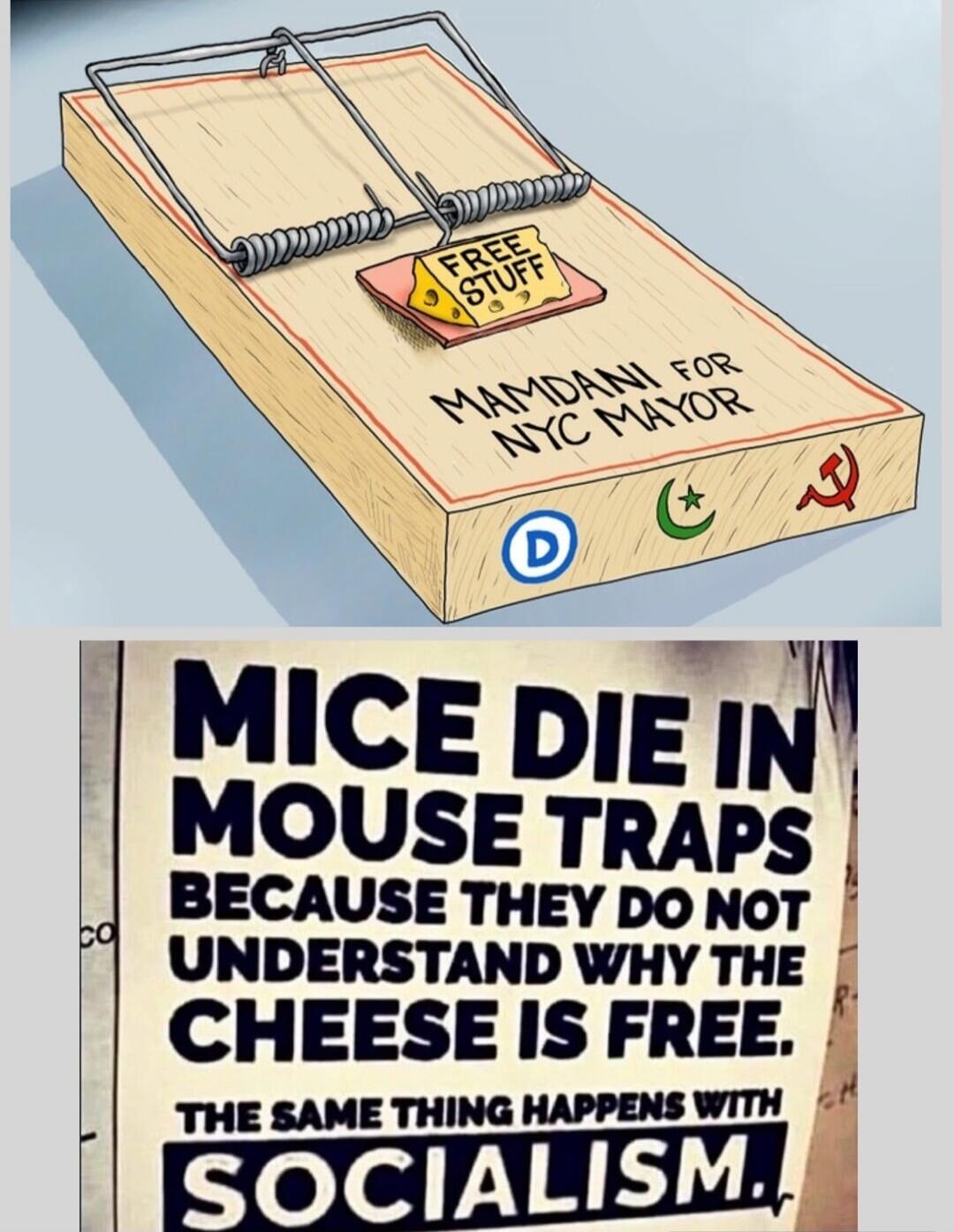 FREE STUFF
MOUSE TRAP DEMONSTRATION: MAMADANI FOR NYC MAYOR (with political party symbols).\nMICE DIE IN MOUSE TRAPS BECAUSE THEY DO NOT UNDERSTAND WHY THE CHEESE IS FREE. THE SAME THING HAPPENS WITH SOCIALISM.