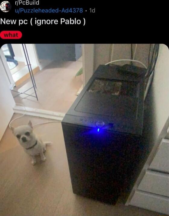 New pc ignore Pablo