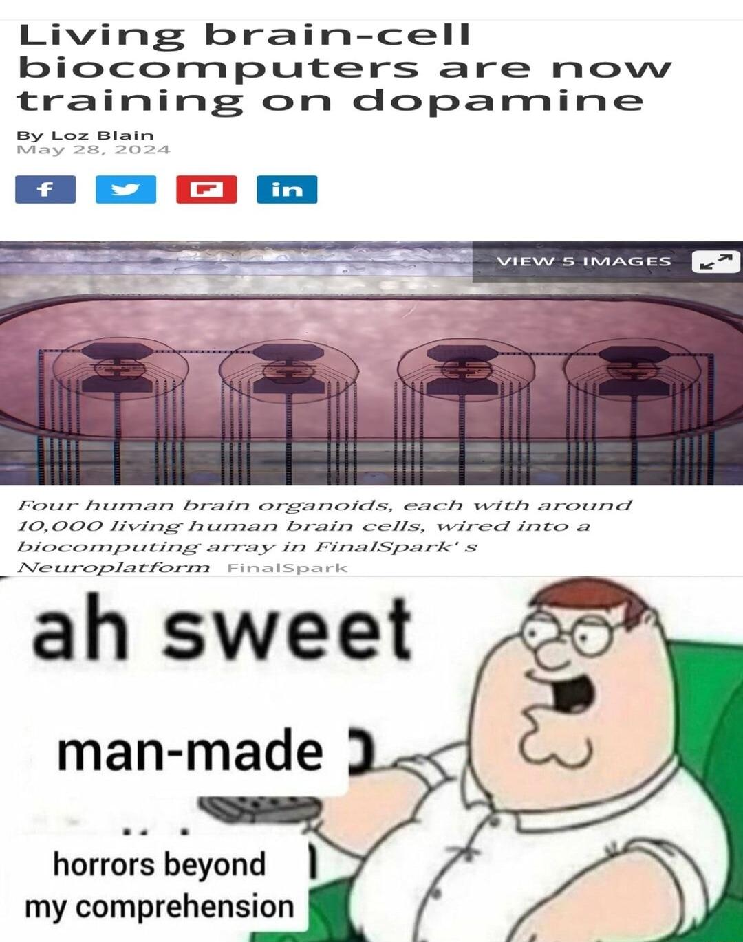 Living brain cell biocomputers are now training on dopamine man made horrors beyond I my comprehension