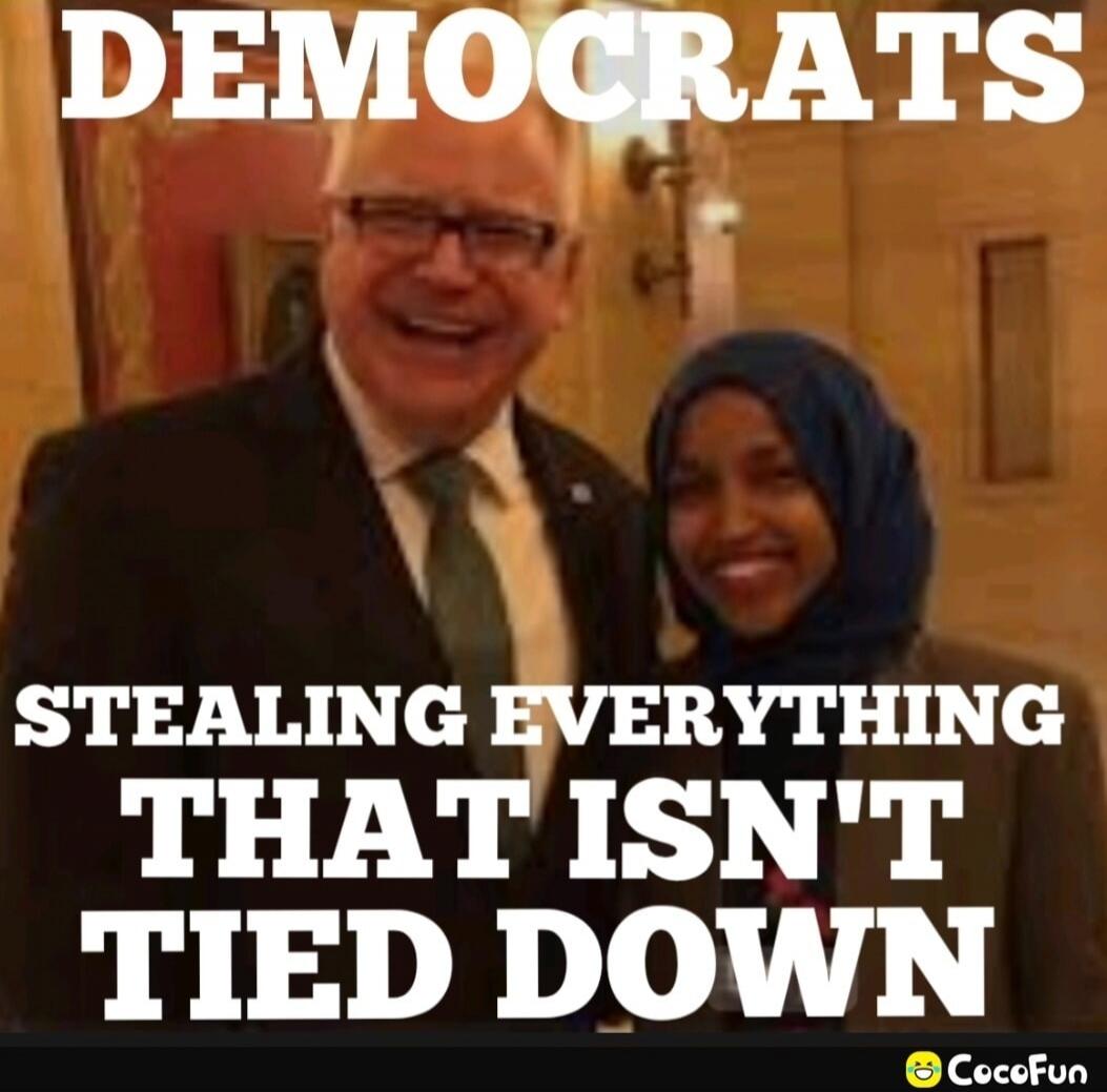 DEMOCRATS
STEALING EVERYTHING
THAT ISN'T
TIED DOWN