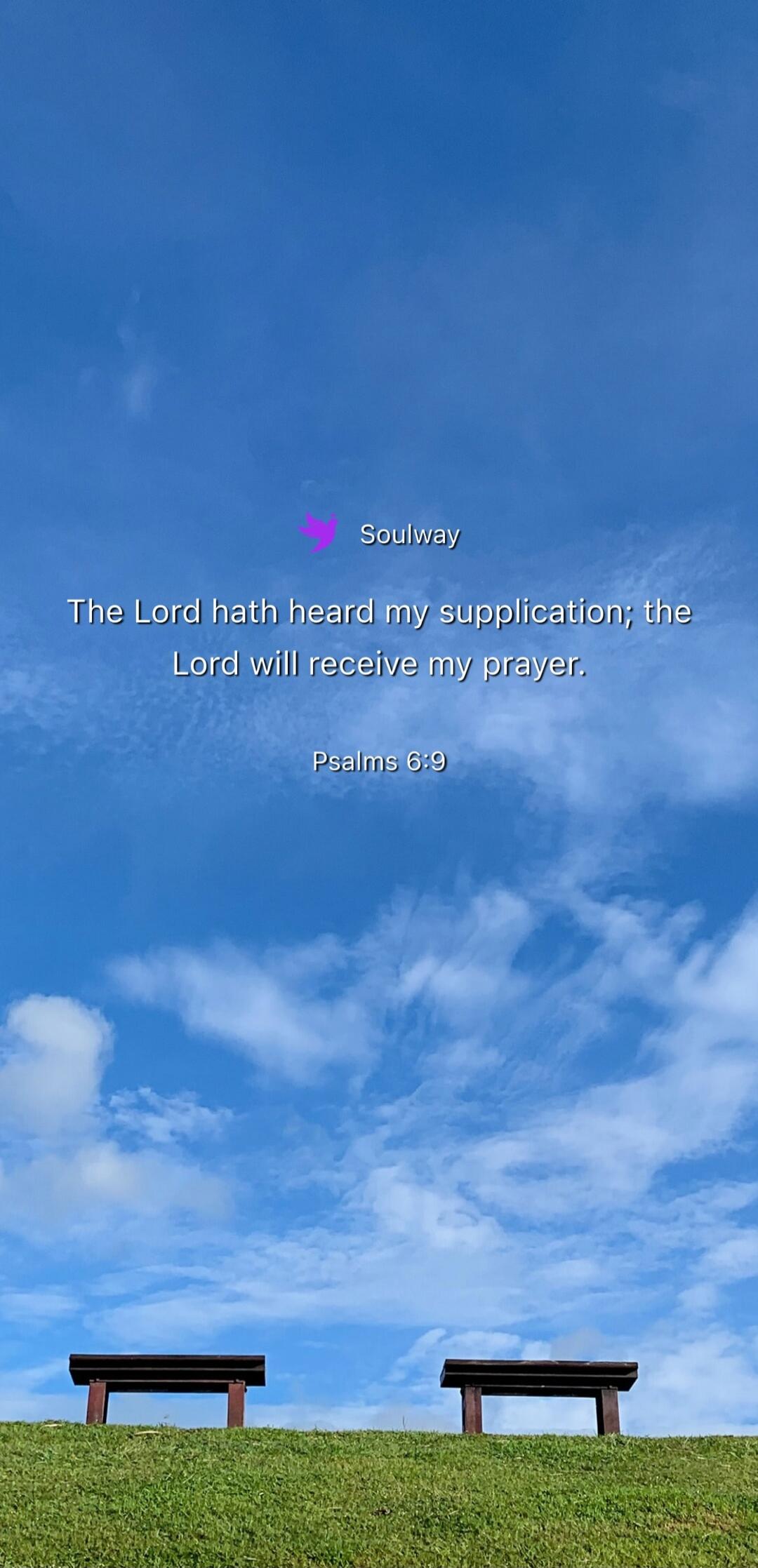 Soulway The Lord hath heard my supplication; the Lord will receive my prayer. Psalms 6:9