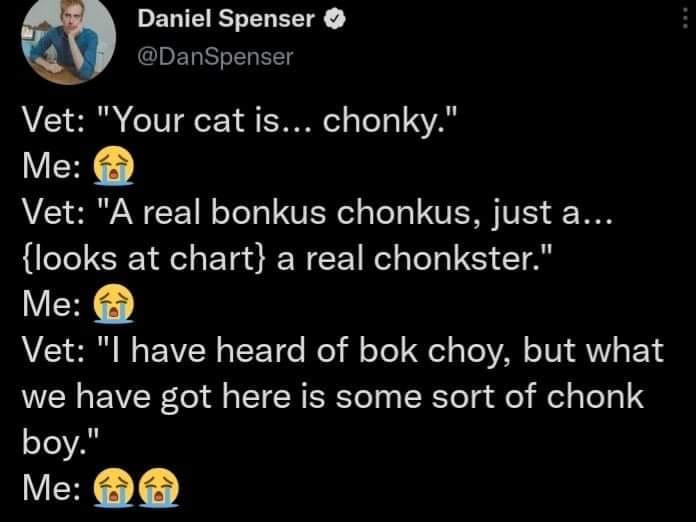 DENIEES N R IDETSTe l T Vet Your cat is chonky V A1 SRVANCF 1l oTeTo UK ol aTeTo U VS T looks at chart a real chonkster Me AL S0 B o VW g TF Te le il o o el o VA oW VI o F 1 we have got here is some sort of chonk boy V T