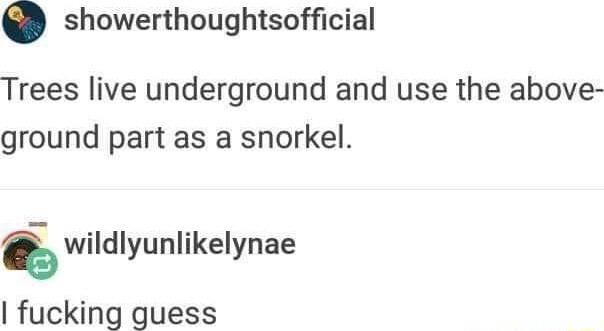 showerthoughtsofficial Trees live underground and use the above ground part as a snorkel wildlyunlikelynae fucking guess