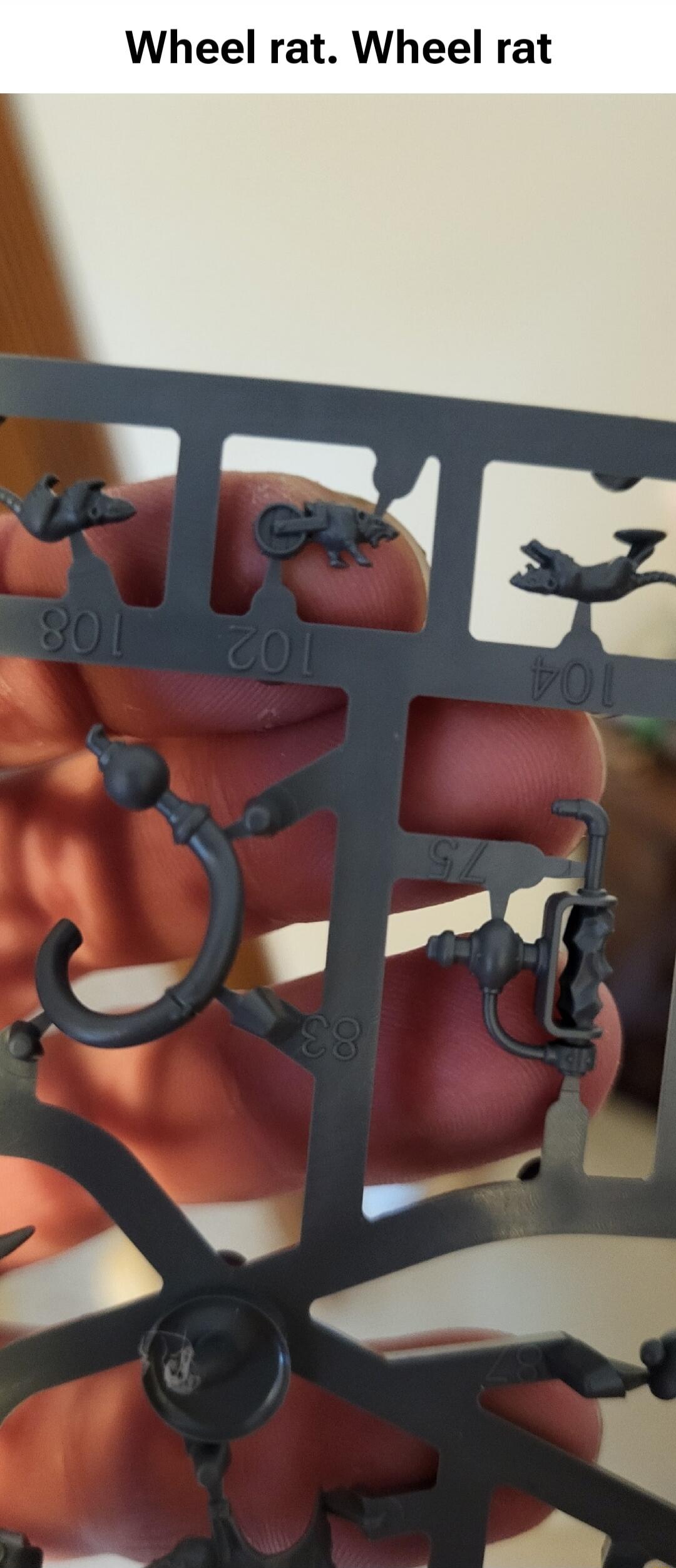 Wheel rat. Wheel rat. The image shows a close-up of a plastic sprue with miniature parts, including several small rat figures. One of the rats is humorously depicted with a wheel attached to its back.