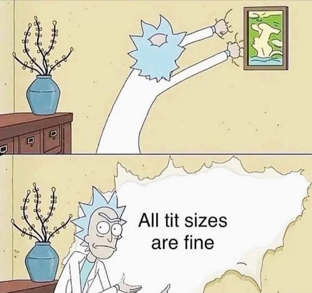 All tit sizes are fine