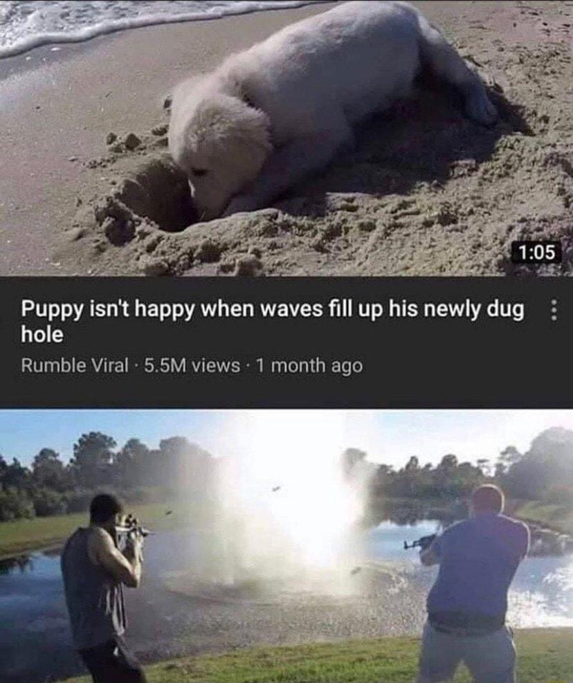 Puppy isnt happy when waves fill up his newly dug hole Rumble Viral 55M views 1 month ago