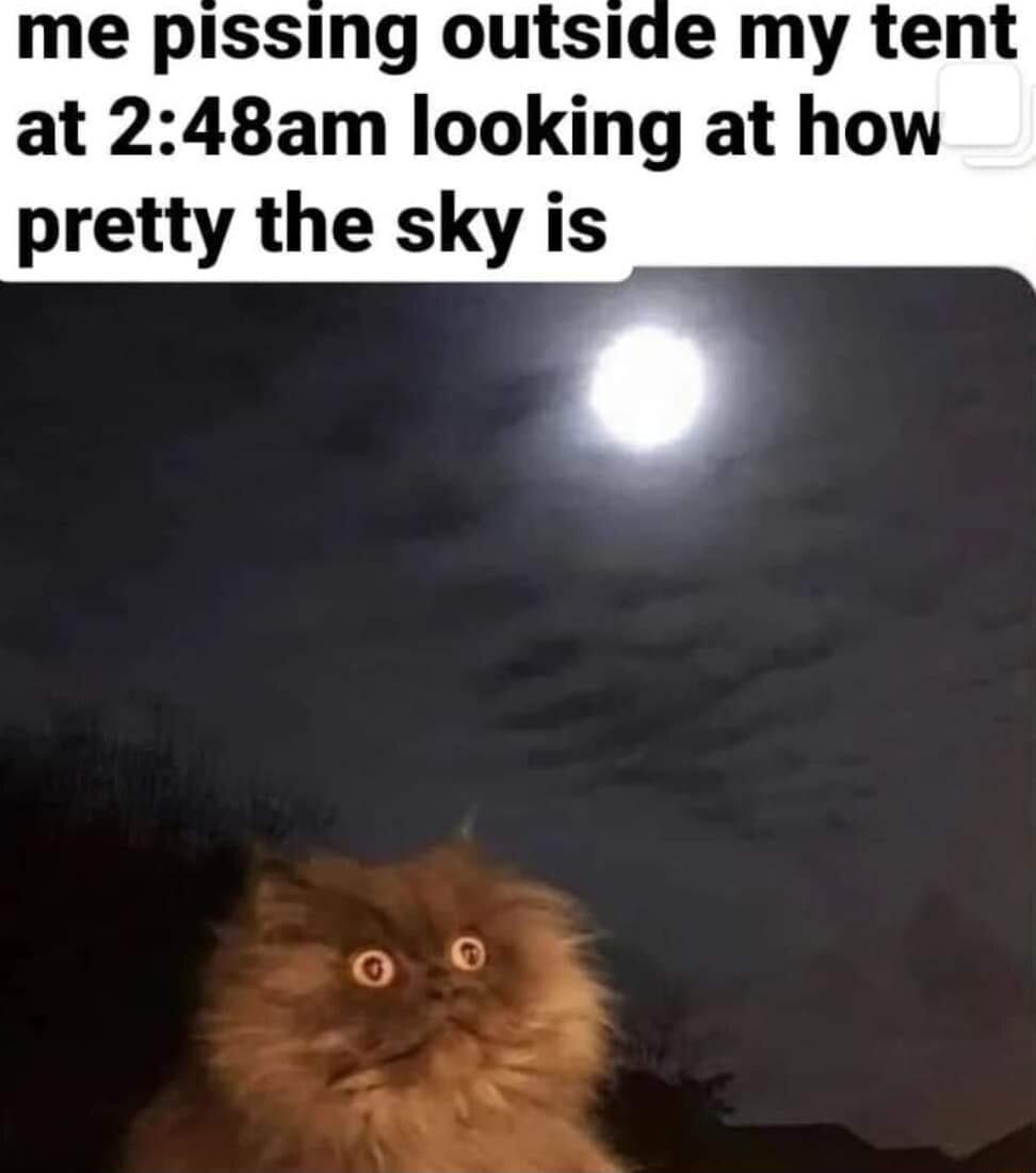 me pissing outside my tent at 248am looking at how pretty the sky is