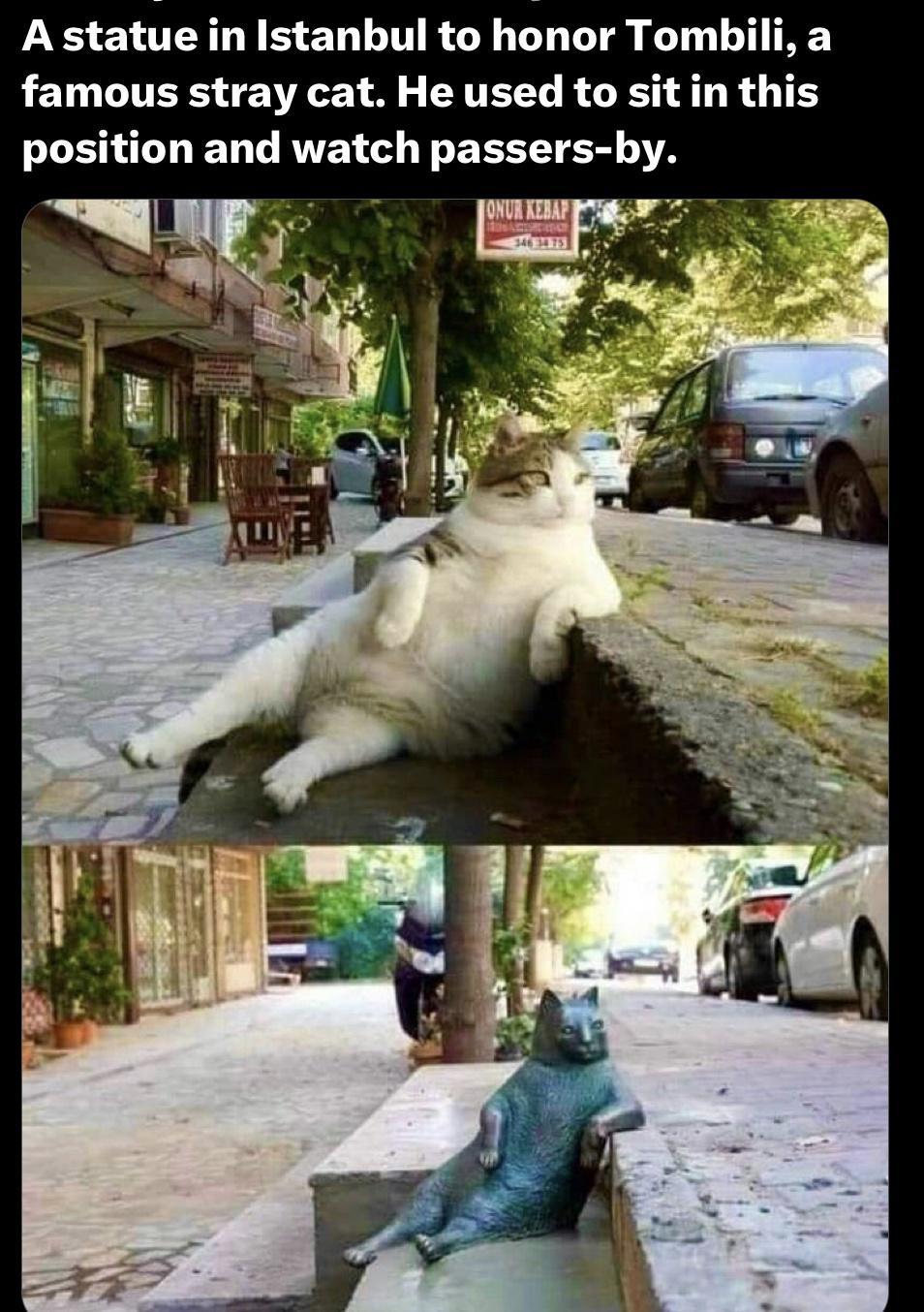 A statue in Istanbul to honor Tombi FETHLITERS TV TR M ERTETY R LR DELLAVELL T EELLTER ST