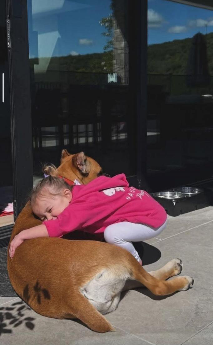A young child in a pink hoodie is affectionately hugging a large brown dog lying on a tiled patio outdoors. The background shows a reflection of a green landscape and blue sky in a large glass door.