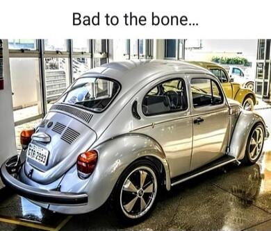 Bad to the bone...