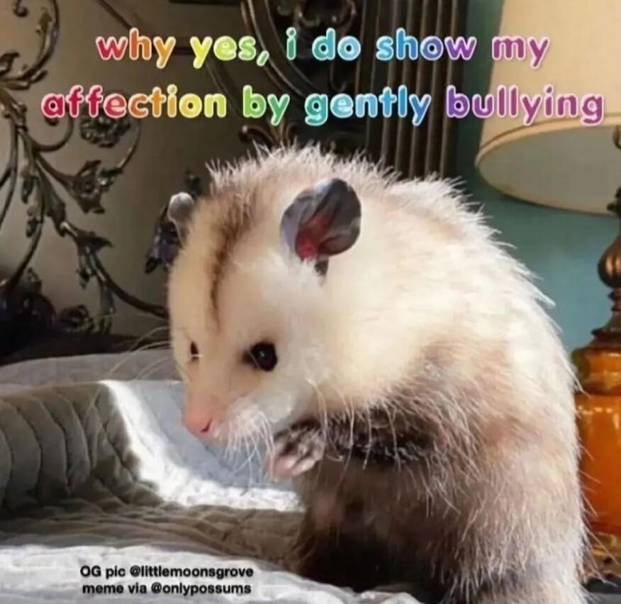 why yes do show cifection by gently b