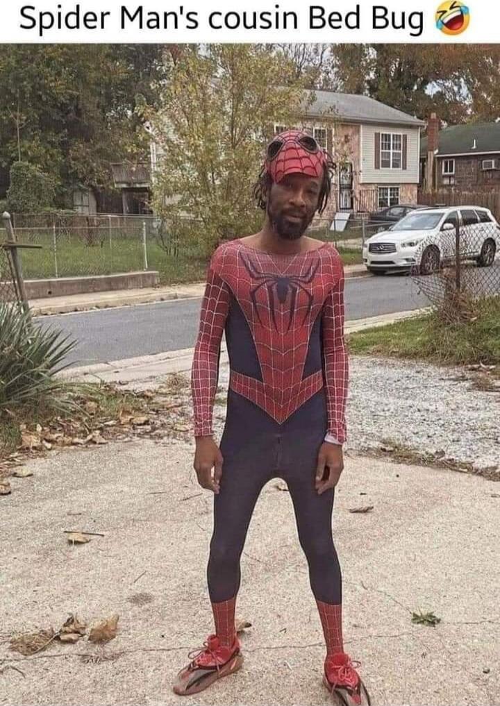Spider Man's cousin Bed Bug😂