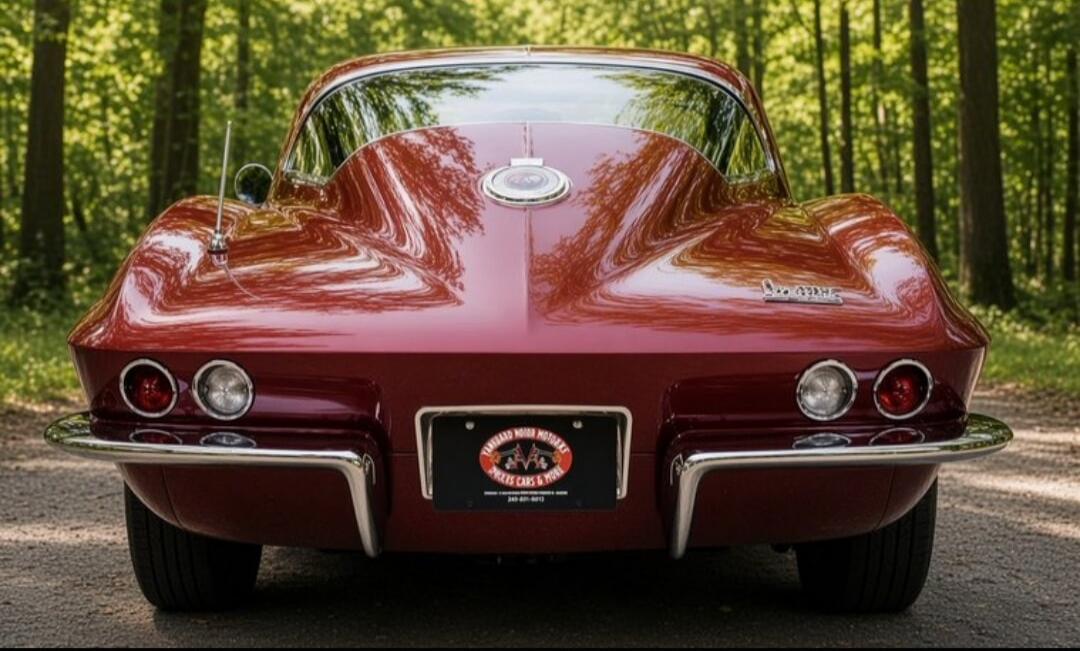 A classic red Chevrolet Corvette Sting Ray, viewed from the rear, parked on a path with a lush green forest in the background. The car features its iconic split-window design and chrome bumper details. The license plate frame reads 'VANGUARD MOTOR SALES CLASSIC CARS & MORE'.