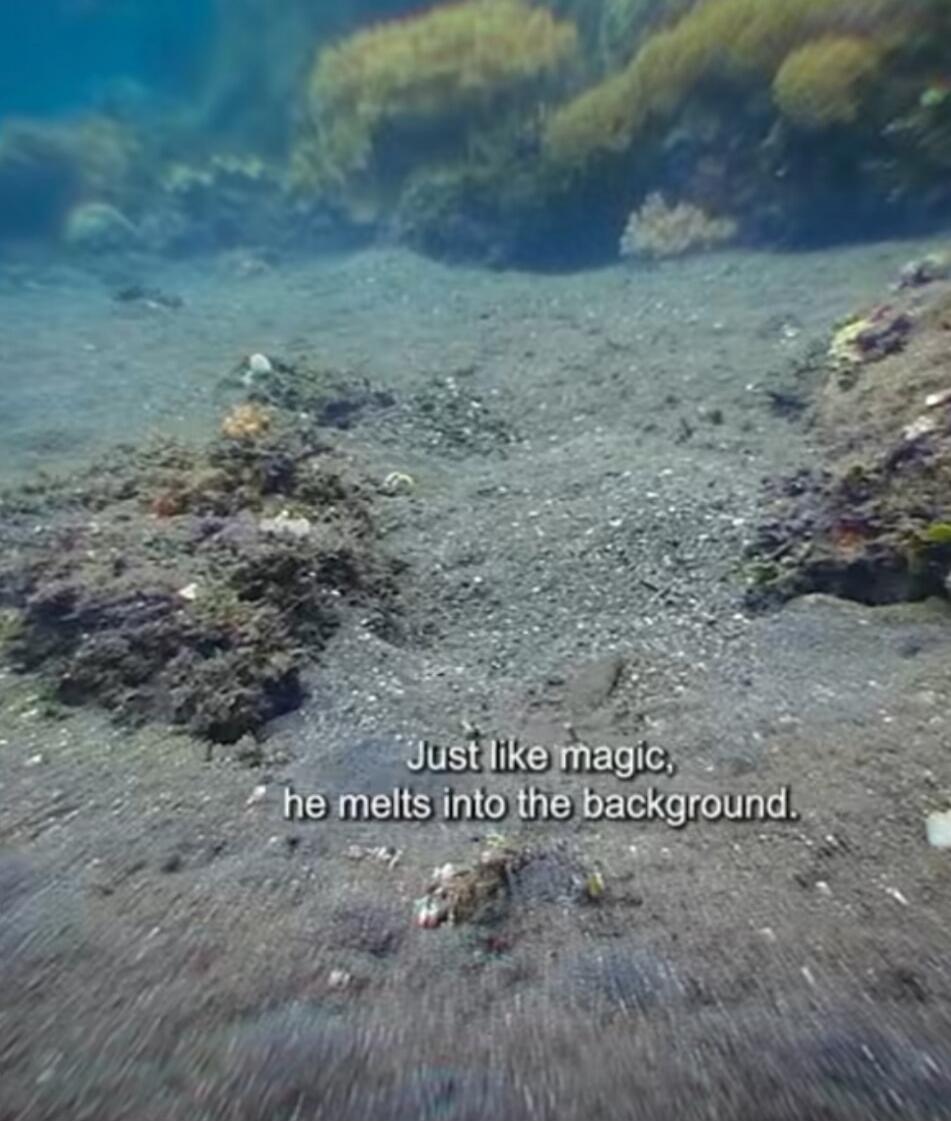 Just like magic, he melts into the background.