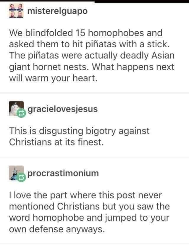 misterelguapo We blindfolded 15 homophobes and asked them to hit pifiatas with a stick The pifatas were actually deadly Asian giant hornet nests What happens next will warm your heart mgracielovesjesus This is disgusting bigotry against Christians at its finest procrastimonium love the part where this post never mentioned Christians but you saw the word homophobe and jumped to your own defense any