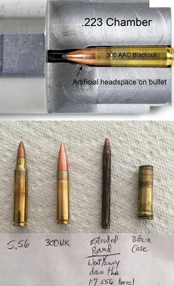 223 Chamber 17 556 beerel