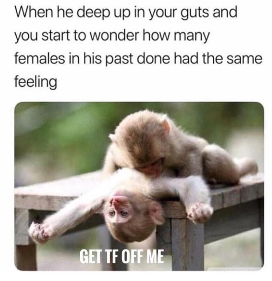 When he deep up in your guts and you start to wonder how many females in his past done had the same feeling. GET TF OFF ME