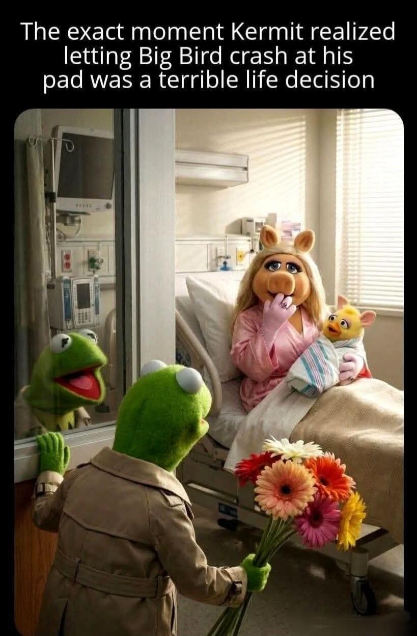 The exact moment Kermit realized letting Big Bird crash at his pad was a terrible life decision
