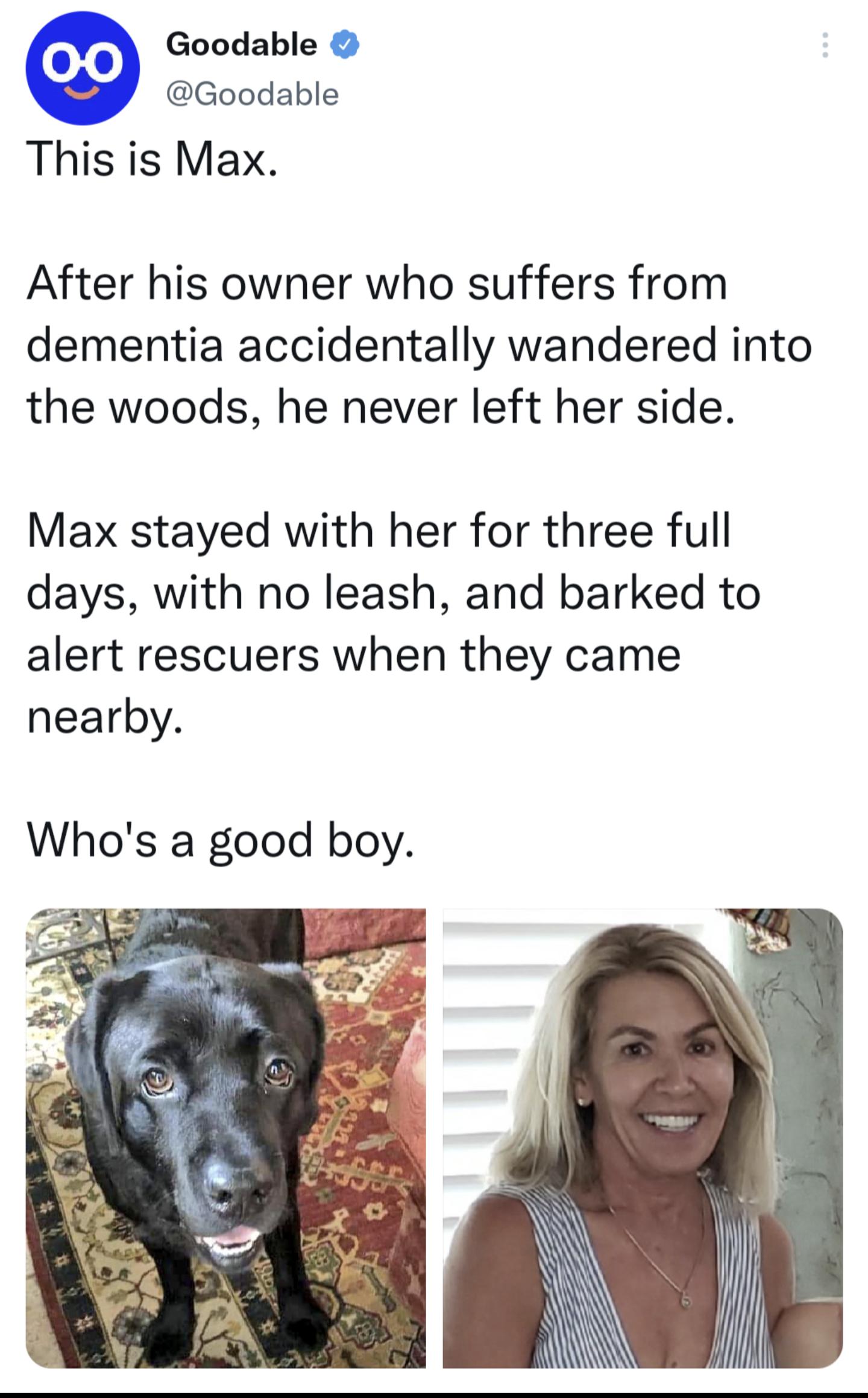 Goodable Goodable This is Max After his owner who suffers from dementia accidentally wandered into the woods he never left her side Max stayed with her for three full days with no leash and barked to alert rescuers when they came nearby Whos a good boy