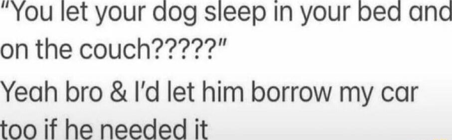 You let your dog sleep in your bed and on the couch????? Yeah bro & I'd let him borrow my car too if he needed it