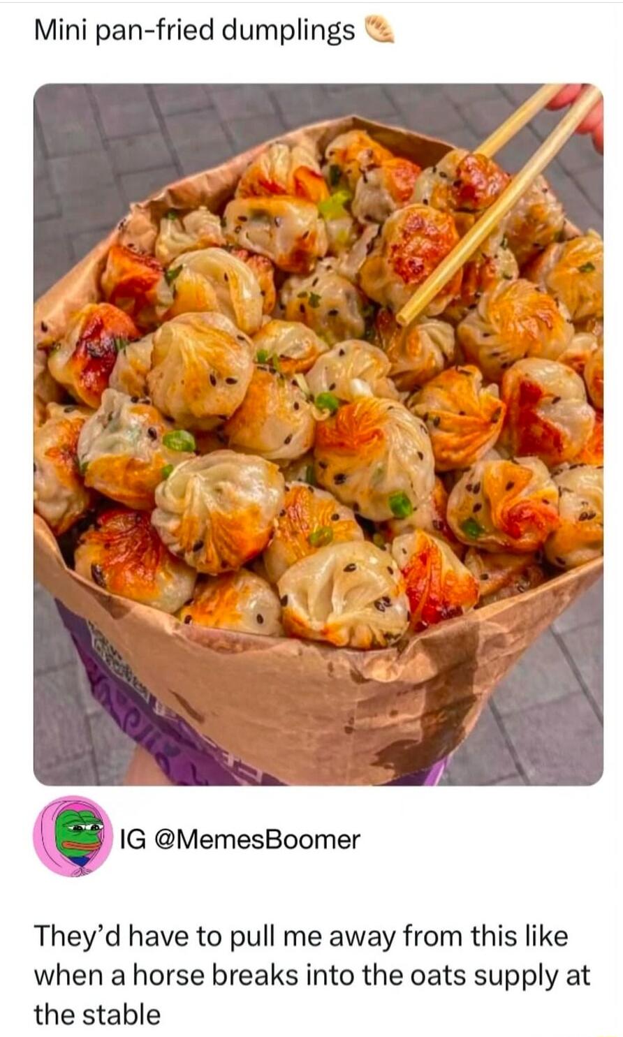 Mini pan fried dumplings Q IG MemesBoomer Theyd have to pull me away from this like when a horse breaks into the oats supply at the stable