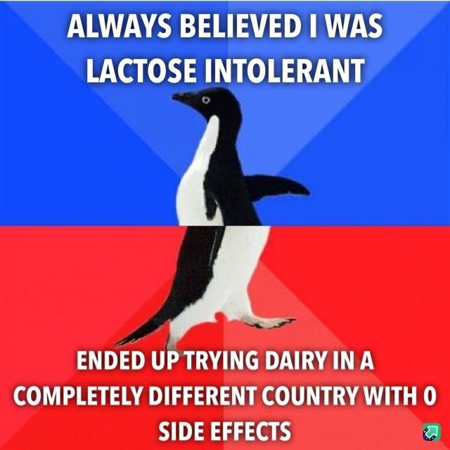 ALWAYS BELIEVED WAS LACTOSE INTOLERANT A A DEDRTER LD I EATTTS COMPLETELY DIFFERENT COUNTRY WITH 0 SIDE EFFECTS a