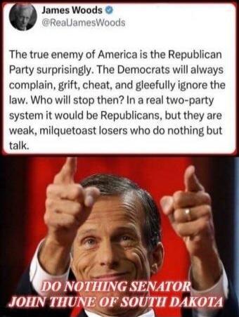James Woods @ReaJamesWoods The true enemy of America is the Republican Party surprisingly. The Democrats will always complain, grift, cheat, and gleefully ignore the law. Who will stop then? In a real two-party system it would be Republicans, but they are weak, milquetoast losers who do nothing but talk. DO NOTHING SENATOR JOHN THUNE OF SOUTH DAKOT