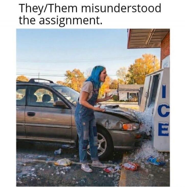 They/Them misunderstood the assignment.