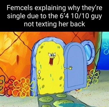 Femcels explaining why theyre o CNC VIR R YR R A TN 1 not texting her back