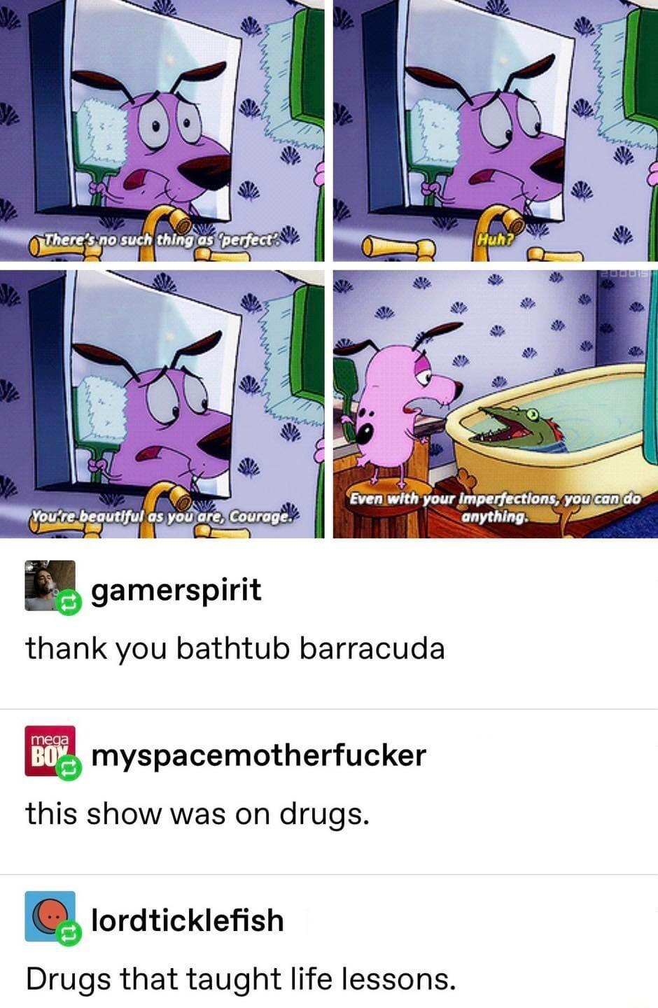 thank you bathtub barracuda myspacemotherfucker this show was on drugs roratickiefish Drugs that taught life lessons