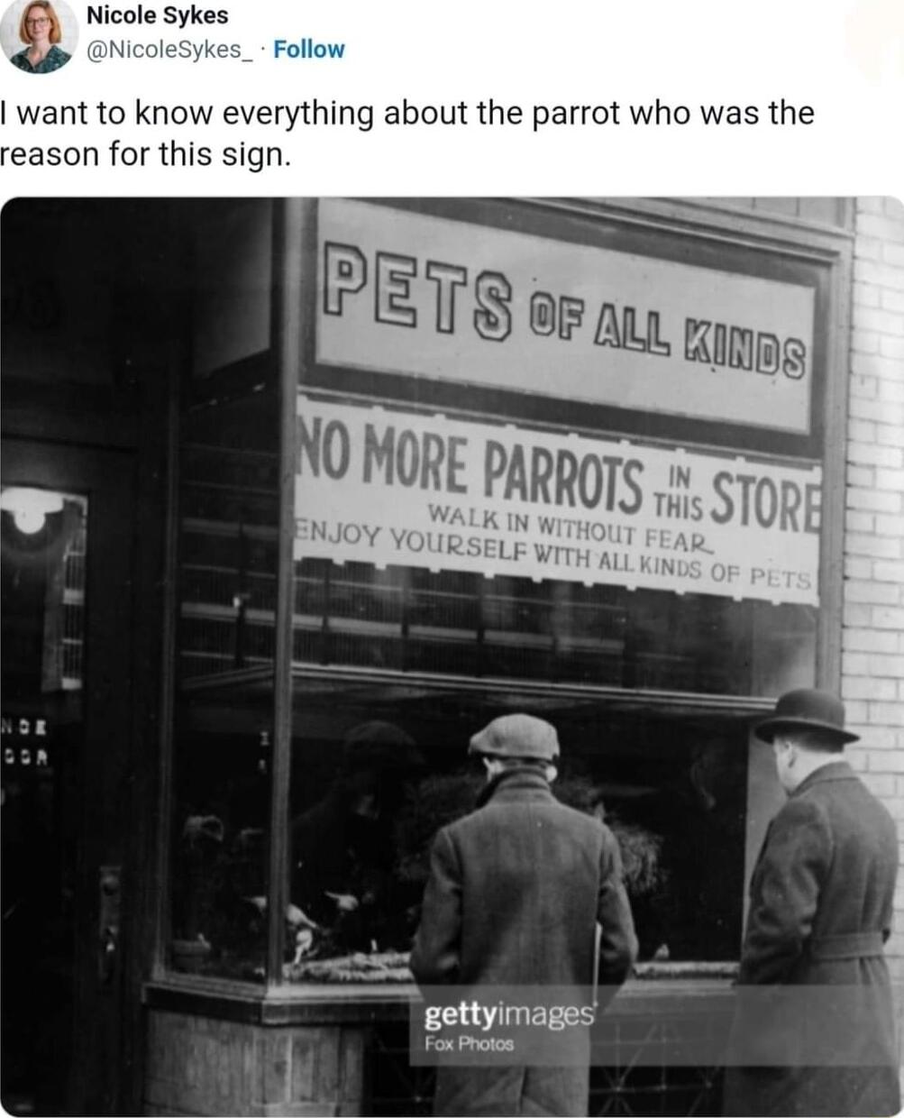 Nicole Sykes ant to know everything about the parrot who was the