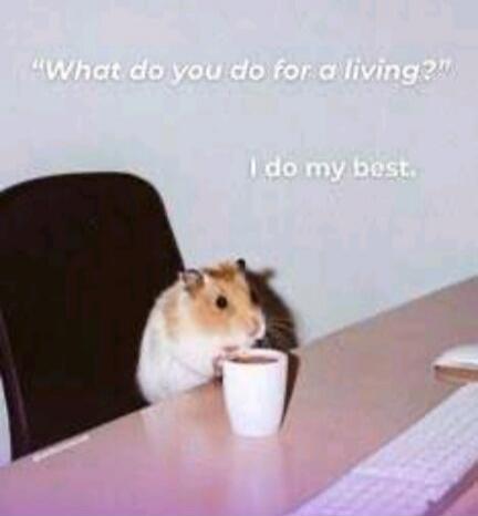 What do you do for a living? I do my best.