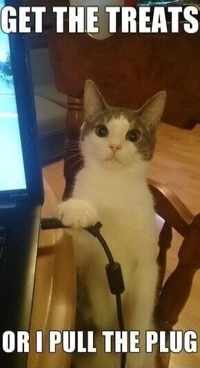 GET THE TREATS OR I PULL THE PLUG