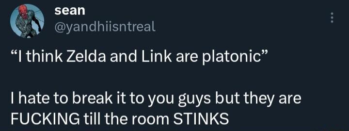 sean yandhiisntreal I think Zelda and Link are platonic hate to break it to you guys but they are FUCKING till the room STINKS