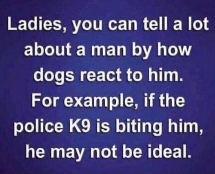 Ladies, you can tell a lot about a man by how dogs react to him. For example, if the police K9 is biting him, he may not be ideal.