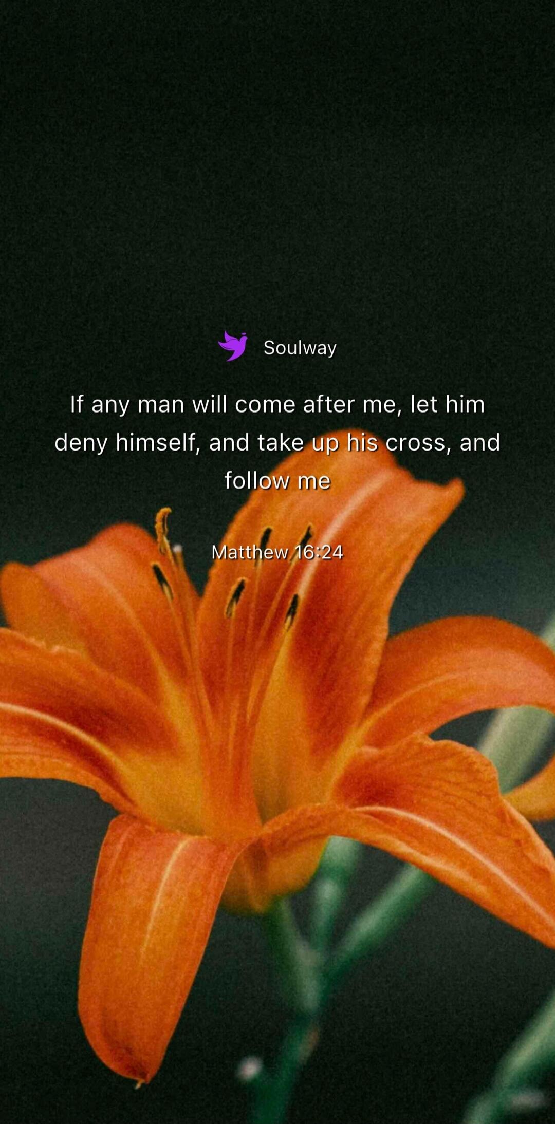 Soulway If any man will come after me, let him deny himself, and take up his cross, and follow me Matthew 16:24