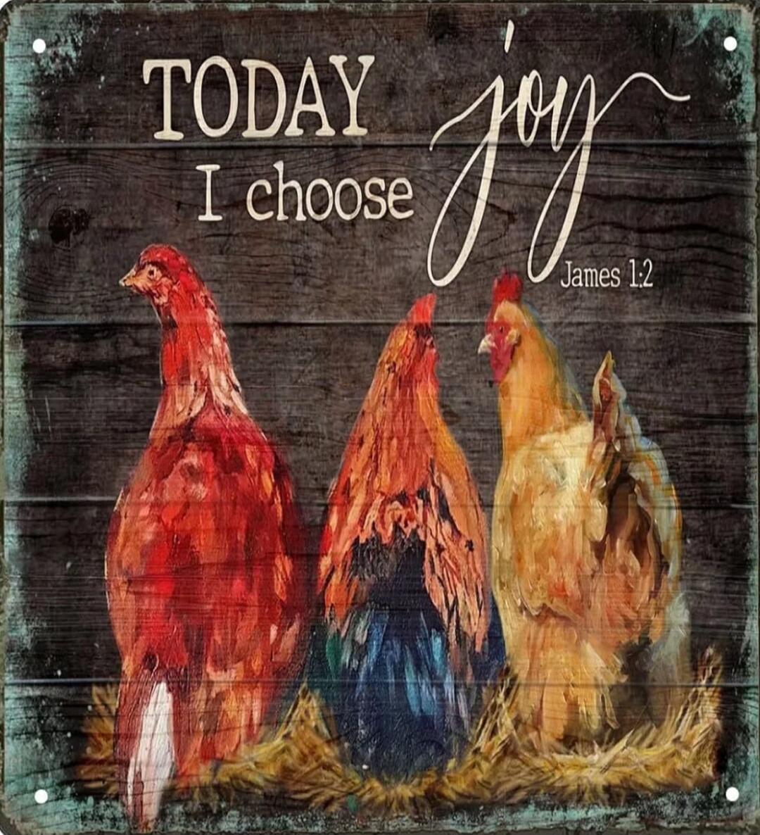 TODAY I choose joy James 1:2