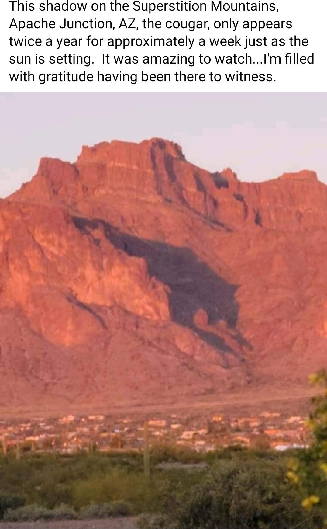 This shadow on the Superstition Mountains Apache Junction AZ the cougar only appears twice a year for approximately a week just as the sun is setting It was amazing to watchIm filled with gratitude having been there to witness iy by oY et S