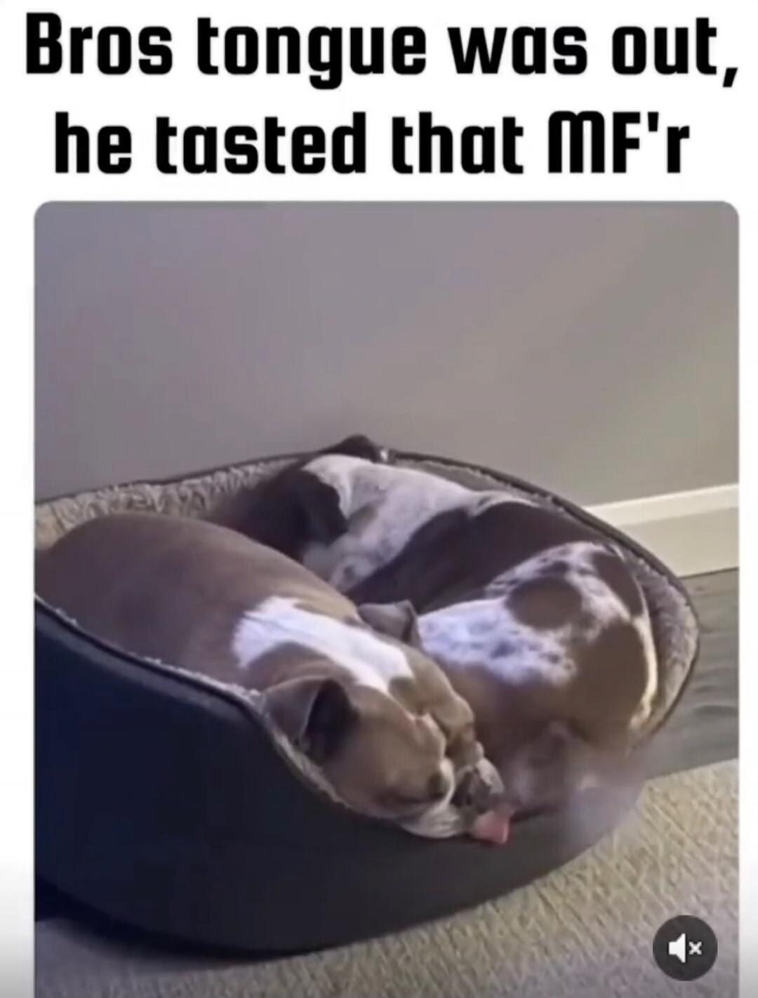 Bros tongue was out, he tasted that MF'r