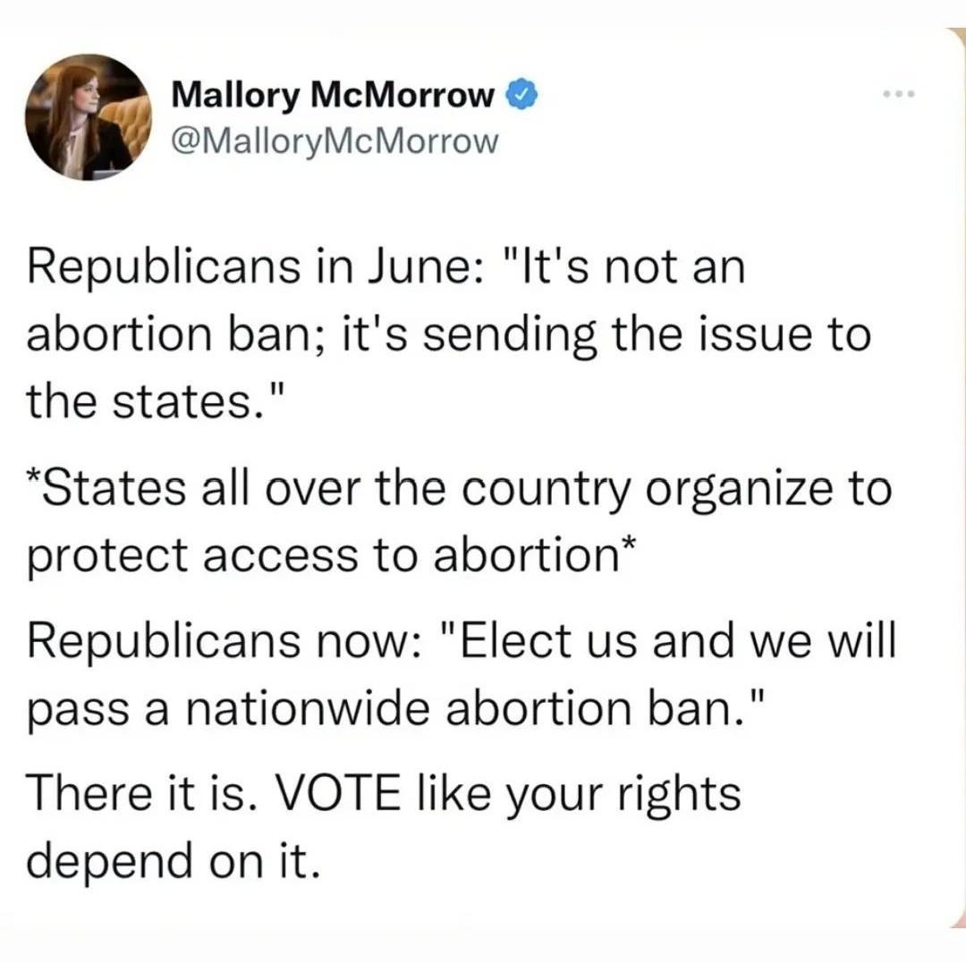 Mallory McMorrow MalloryMcMorrow Republicans in June Its not an abortion ban its sending the issue to the states States all over the country organize to protect access to abortion Republicans now Elect us and we will pass a nationwide abortion ban There it is VOTE like your rights depend on it