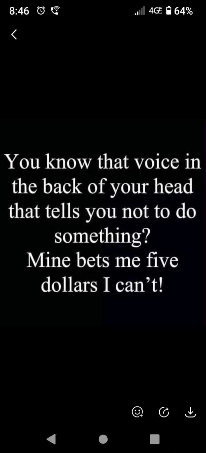 You know that voice in the back of your head that tells you not to do something? Mine bets me five dollars I can't!