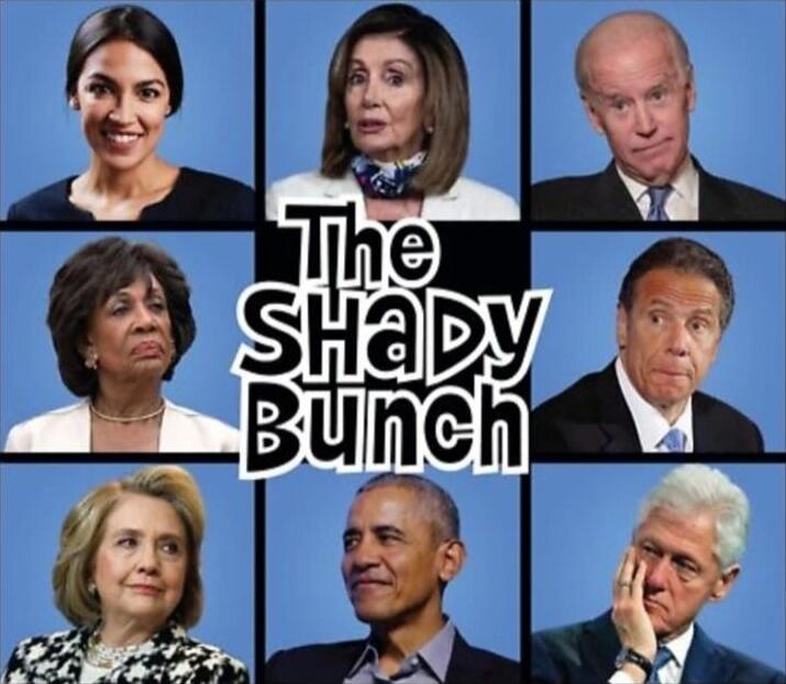 The Shady Bunch