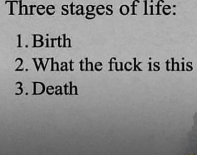 Three stages of life 1Birth 2 What the fuck is this 3Death