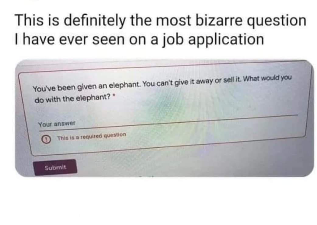 This is definitely the most bizarre question have ever seen on a job application