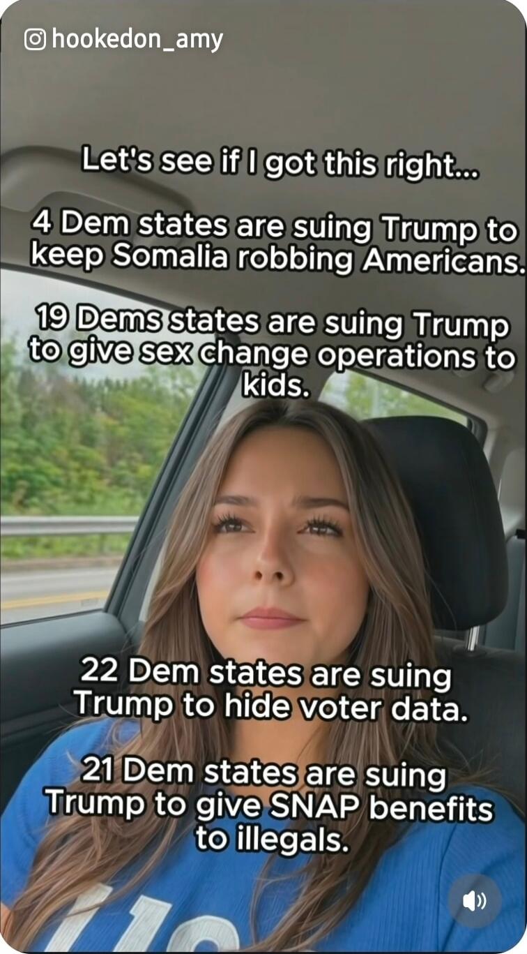 Let's see if I got this right... 4 Dem states are suing Trump to keep Somalia robbing Americans. 19 Dems states are suing Trump to give sex change operations to kids. 22 Dem states are suing Trump to hide voter data. 21 Dem states are suing Trump to give SNAP benefits to illegals.