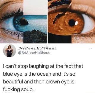 Bridnne Hotthiaud BriAnneHolthaus cant stop laughing at the fact that blue eye is the ocean and its so beautiful and then brown eye is fucking soup