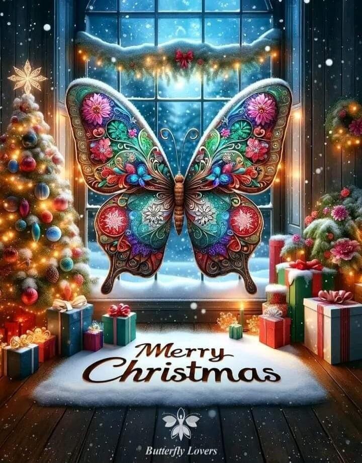 Merry Christmas
Butterfly Lovers
